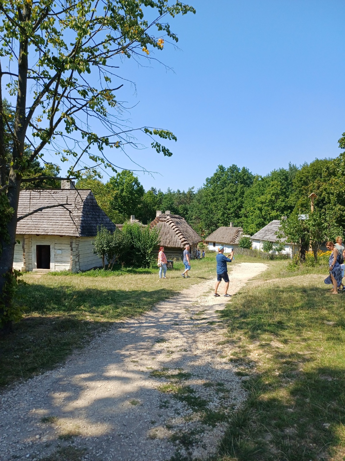 85e995f1-dd6a-43db-8710-4f4ce26c727c