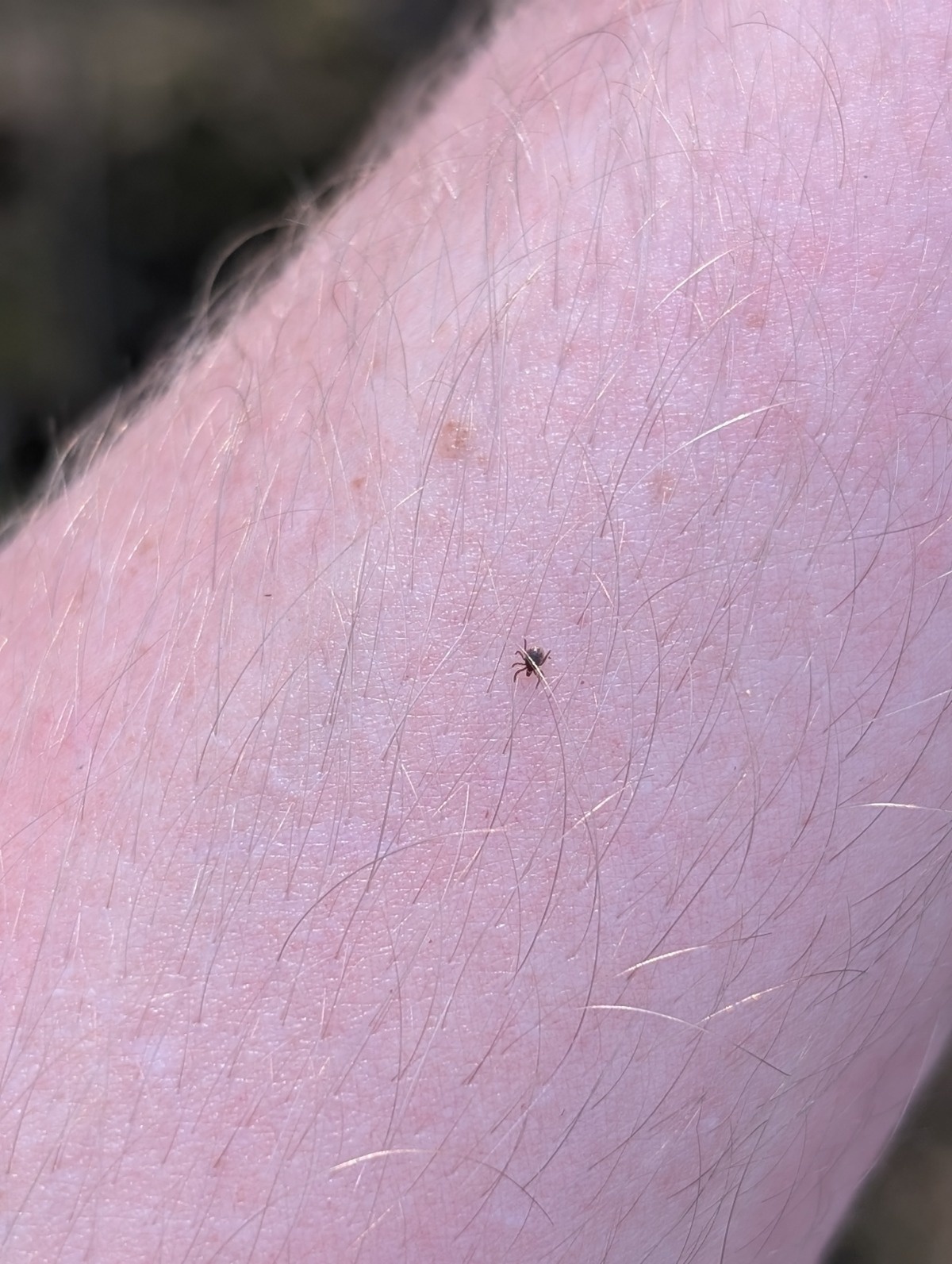 b5a65c81-460c-4bd5-8fd6-18df893b9b61