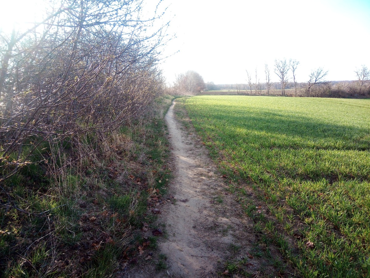 9059fe72-67b7-4dd2-867f-7d27e897050b