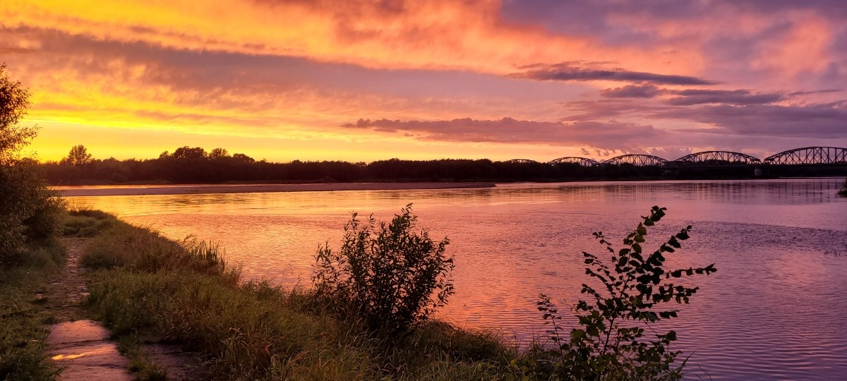 bb034adf-a2e4-4aef-ac67-113bc5231e2f