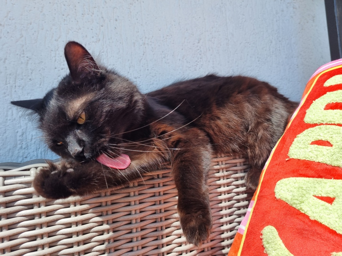 b4f813ae-7337-439d-8461-fbfcf9dfd1f9