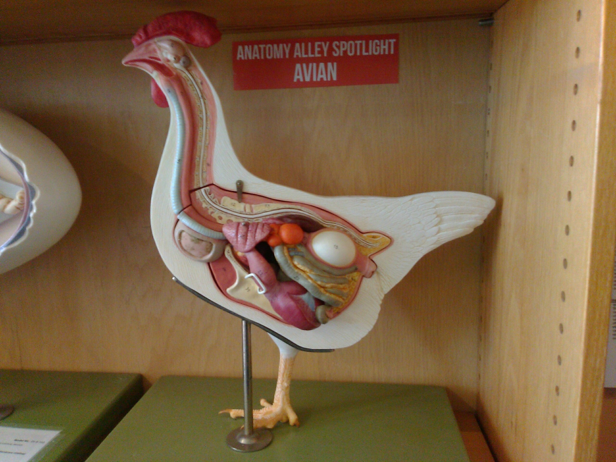 288092e8-5ce2-4425-9e03-8a5417d63ffc