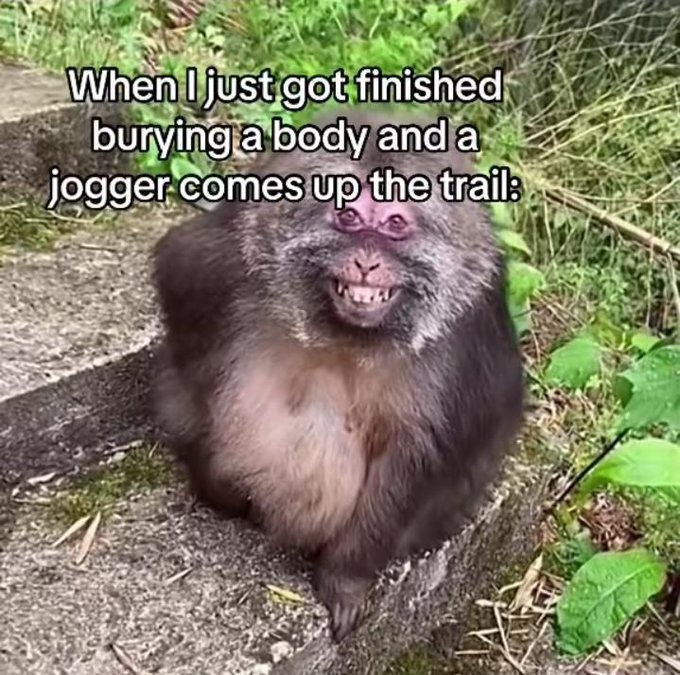 68992cef-b09a-43ec-9264-0872489d5797