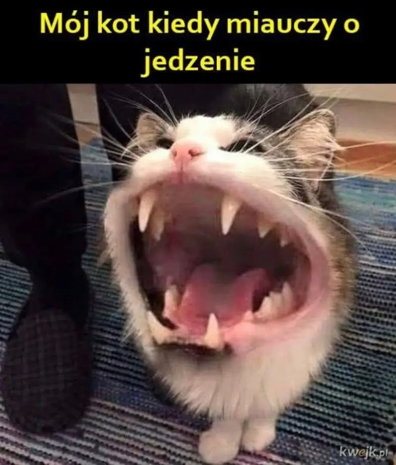 9530df0e-1cca-4e5c-9de8-c0f3b7efc3c0