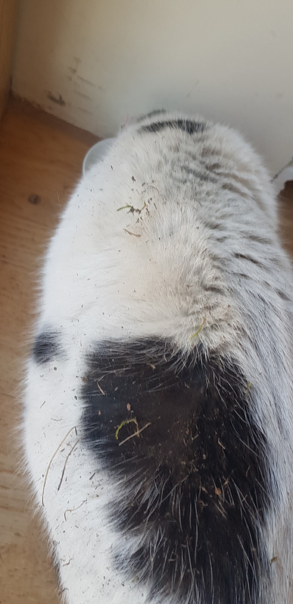 26e2b166-a1a3-4a06-8908-fca1dafa2b25