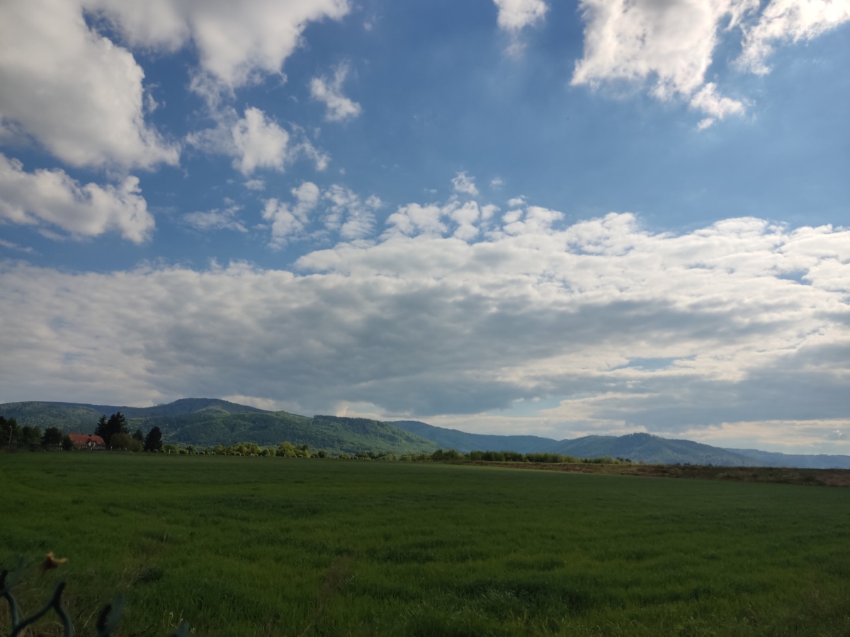 1f0ec578-8b1f-4223-9f49-e1f65494e896