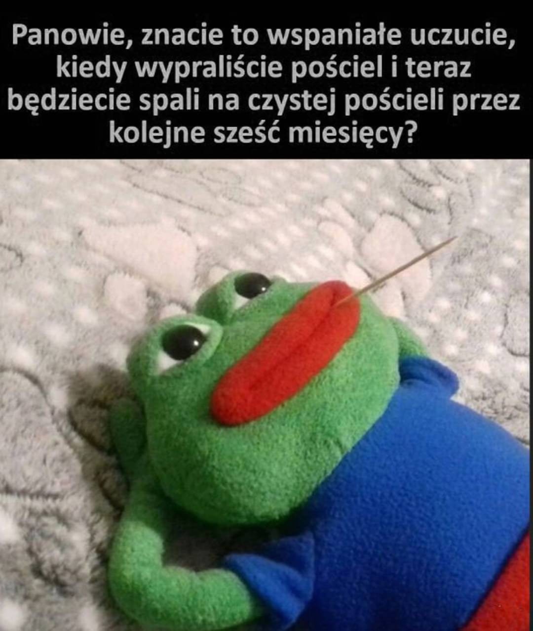 f7e5cb74-b0e9-45d5-884e-4fb2e605dafa