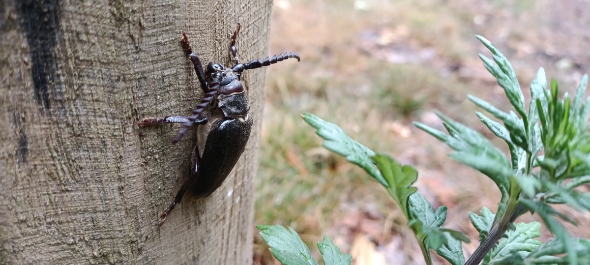 78f71690-0350-4a62-b8bc-bcdb461abca1