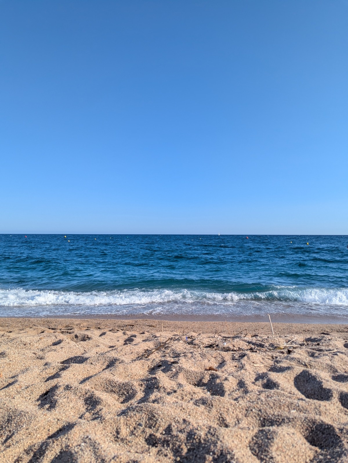 af8f5d10-ed8e-4d05-be11-6132c83354bd