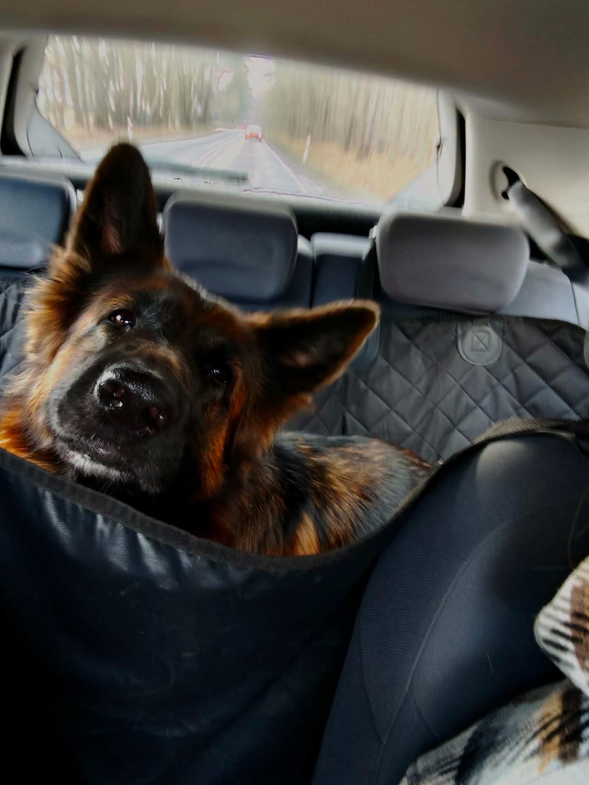 a29ba97d-f1ca-445c-bdc2-7b4af6f8241c