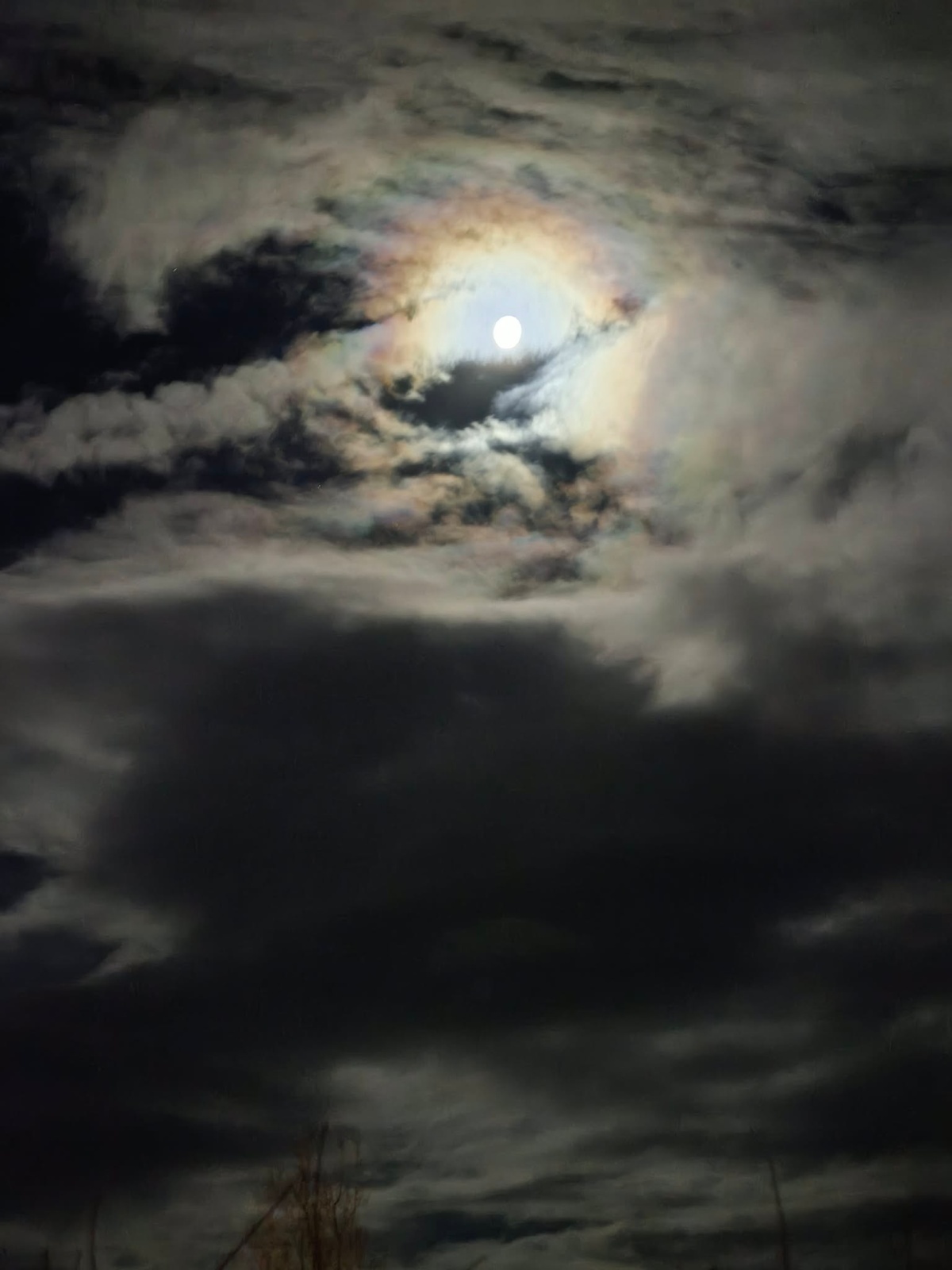 d0f7da36-d7be-4be0-9e23-7ca6e7dd1a6b