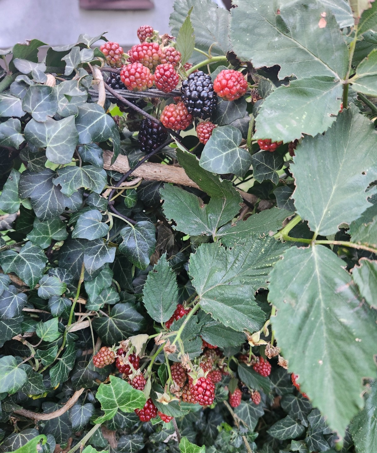 a4e5658f-dd76-4615-974f-16f4ffc9fe5b