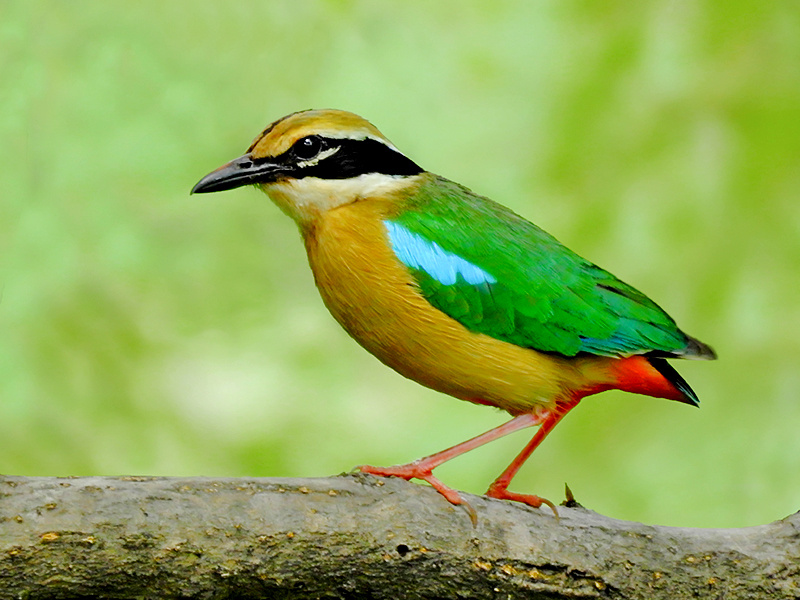 106bf702-83c3-4e9f-b32d-b4224730b6bf