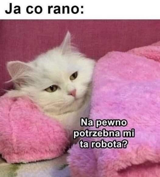 50c4f8ee-06b6-4520-8dc9-05a705687e9d