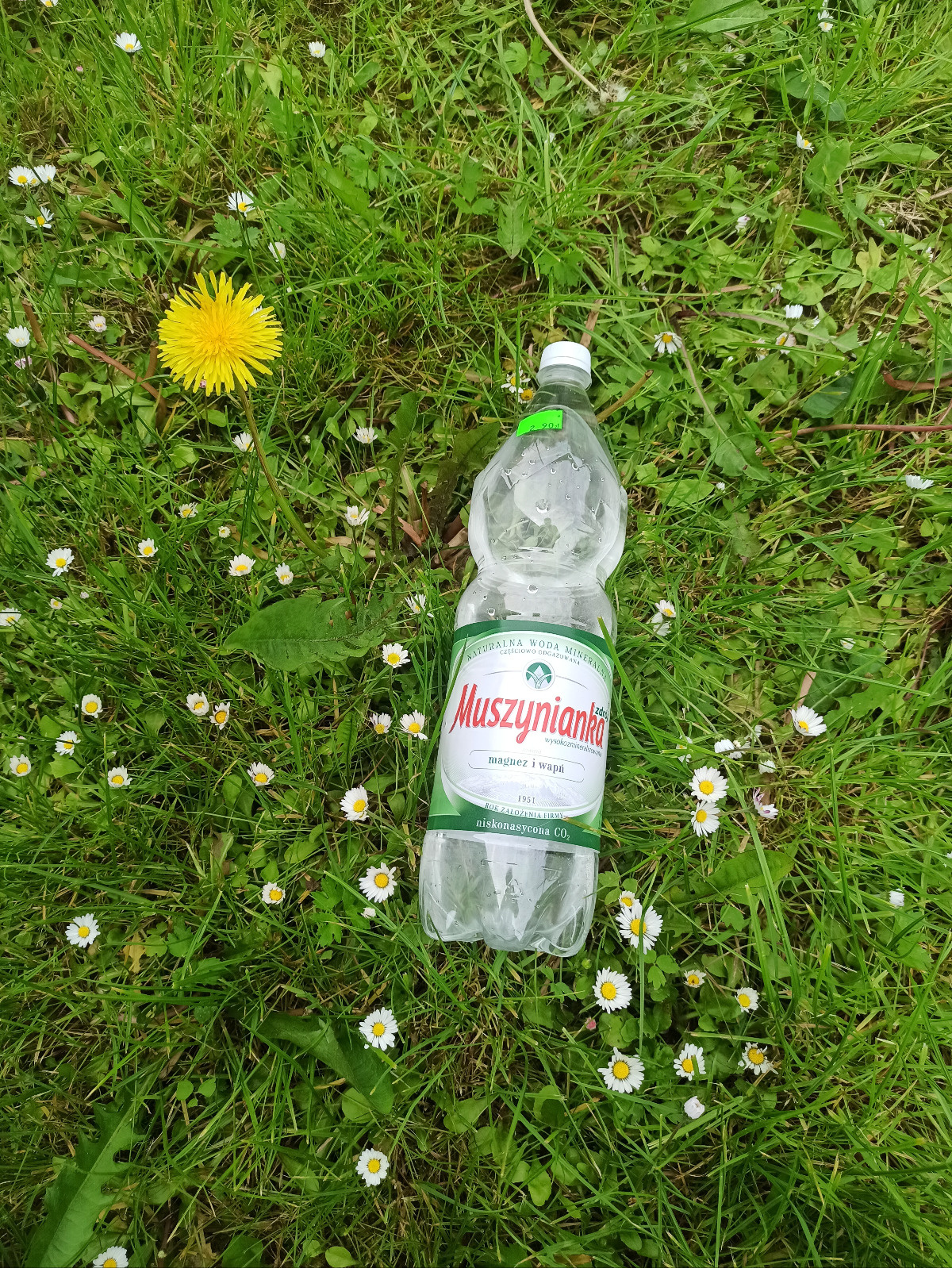 bd6d3726-0215-4a65-b994-447edb0a8b74