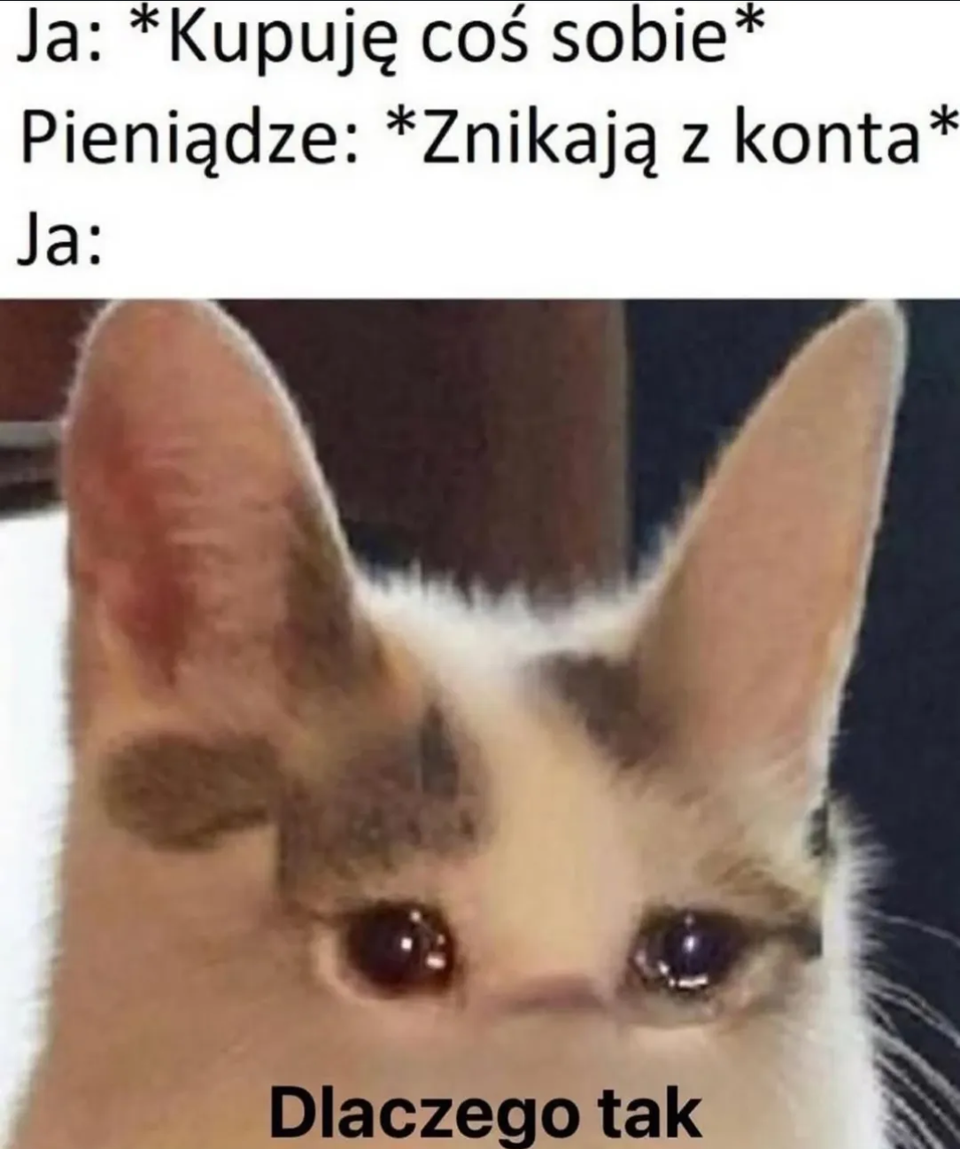 5272a106-b0a5-4f87-9166-edbaf31db2c1