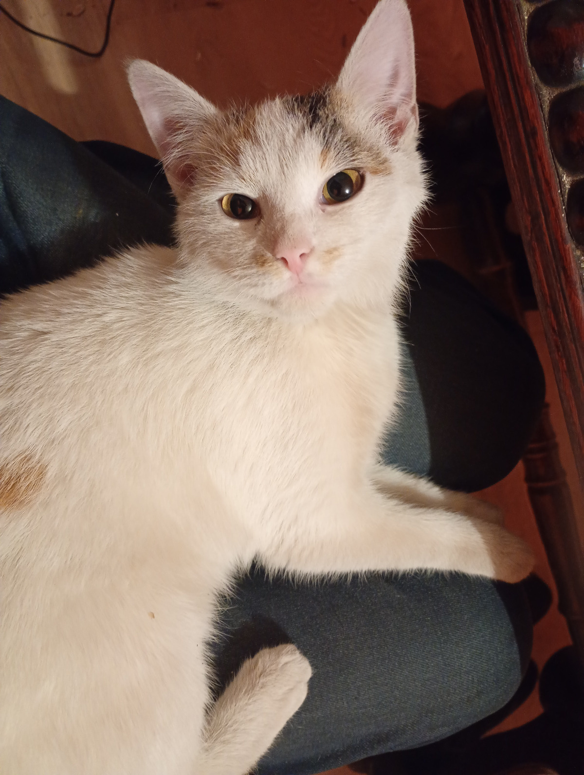 905e78db-e648-46aa-bae0-4cc92faf7bb3