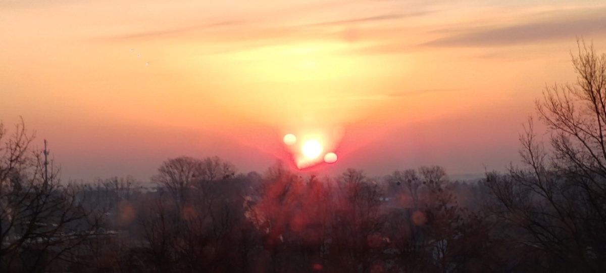 b51f3134-cf90-452b-94b6-e39f2bdc5eda