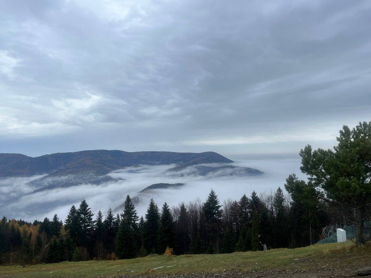 850594f8-88d8-4ed5-9316-8c395479fa8a