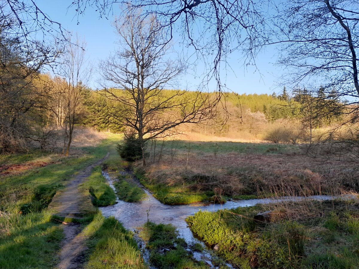 d886d3af-fc3a-4fd0-9dd1-1a8b5d72b005