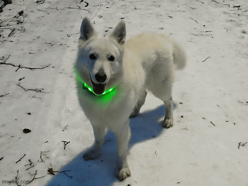 9bae1806-5583-48da-8cf8-eb1d42f76d71