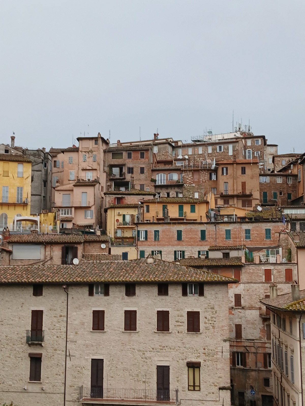 19a419e7-1c2e-4d09-8998-7faa548d9868