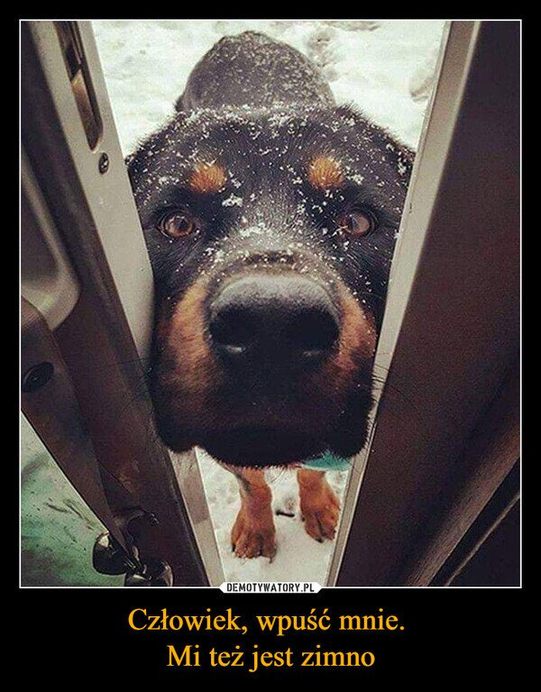 96c4ed80-8e7a-435a-b52d-5756c6ac13c5