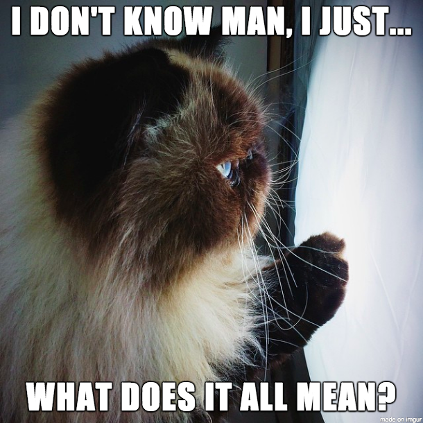 f1fb1e1d-ac82-4cdc-822e-60d5ed054b5b