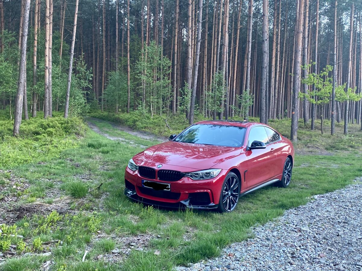 1a199fa5-00ab-42d8-8203-b10d039e6486