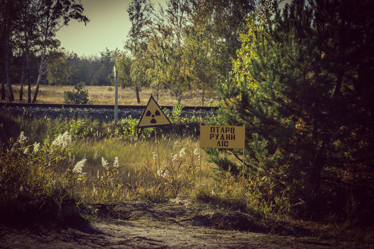 _MG_3869.jpg