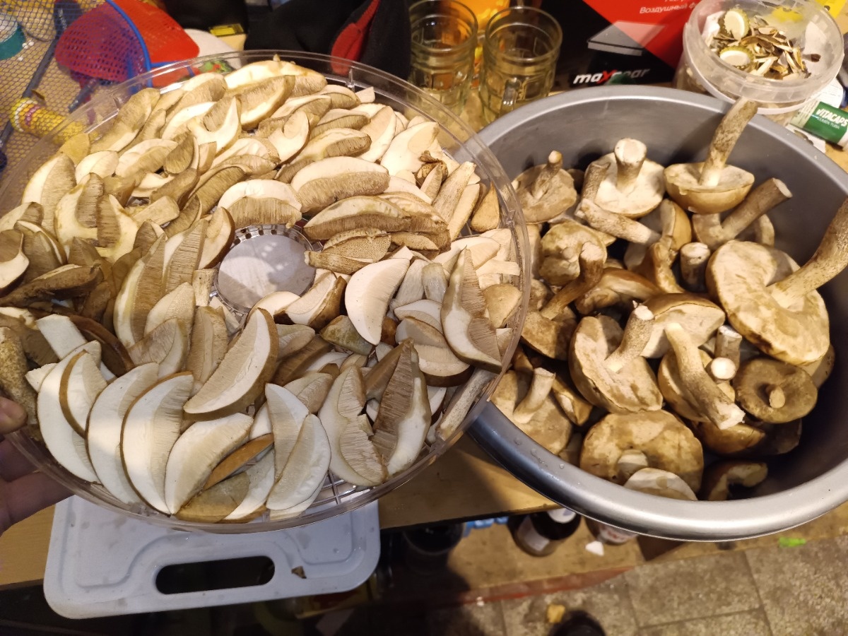 f386f269-af07-4a4d-be05-59014643896d