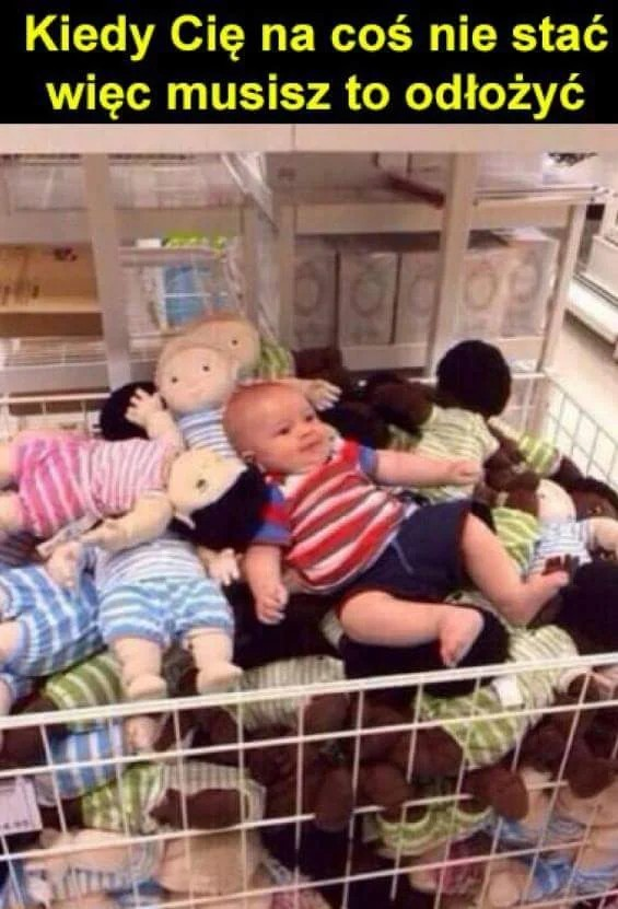 fc217311-d049-48e3-a27b-20cdc12e84c6