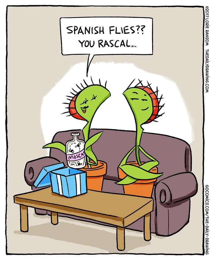 eaa74b8d-51fc-4a97-b410-bbd9b23c3d87