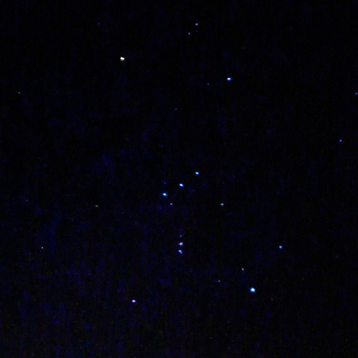 f9754e7d-78e9-4ca9-974b-440171e1159c