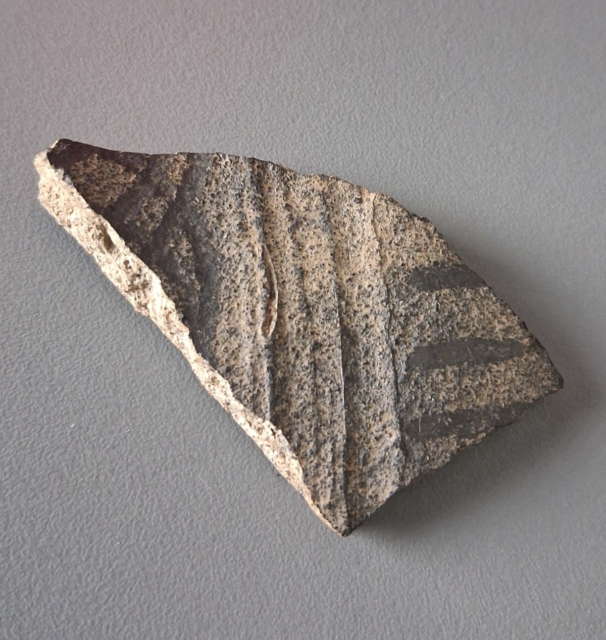 bca06490-f050-4b46-8406-19270daeffad