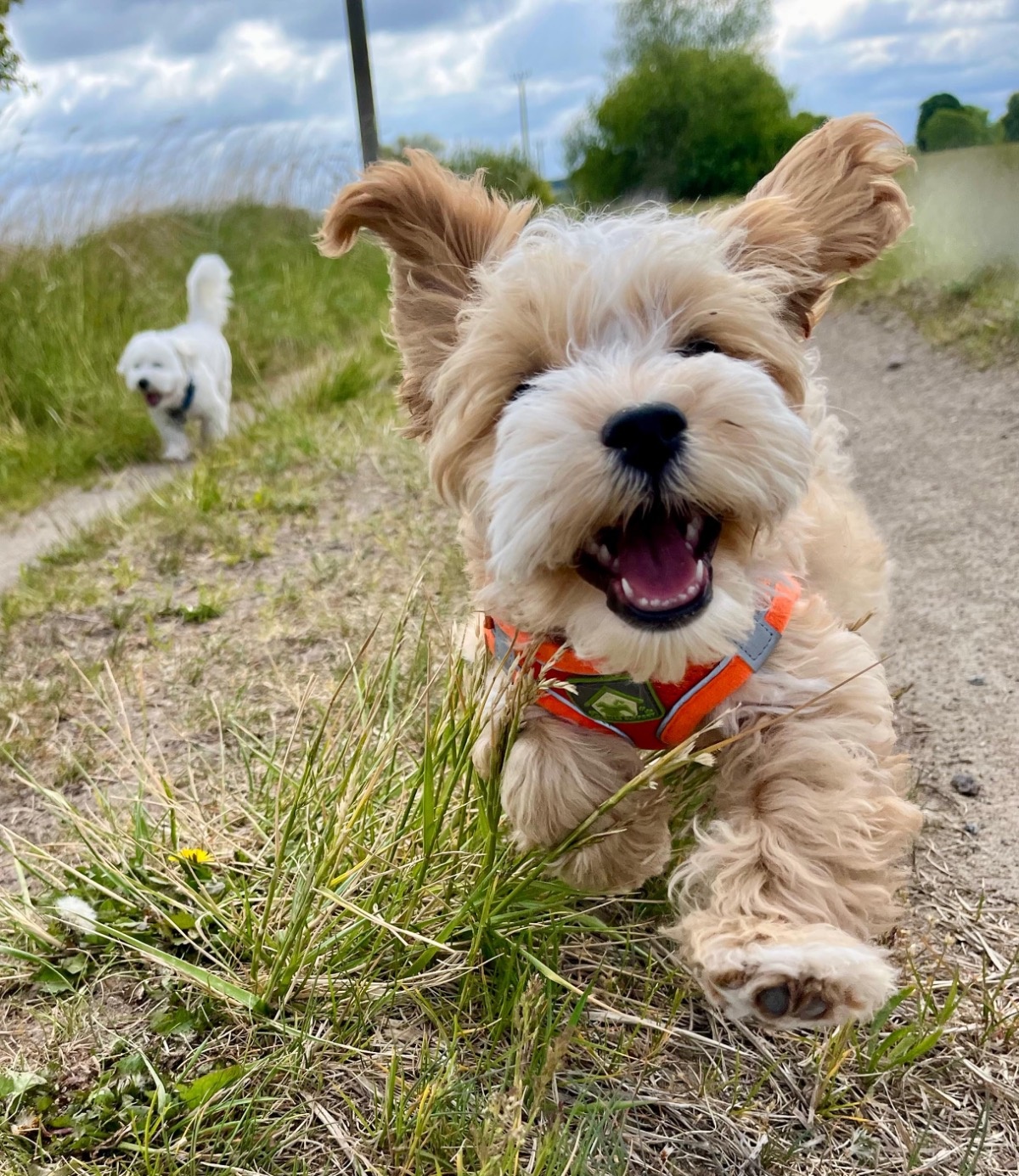 6f714a7f-82be-49f4-a0fb-becd268cf86d