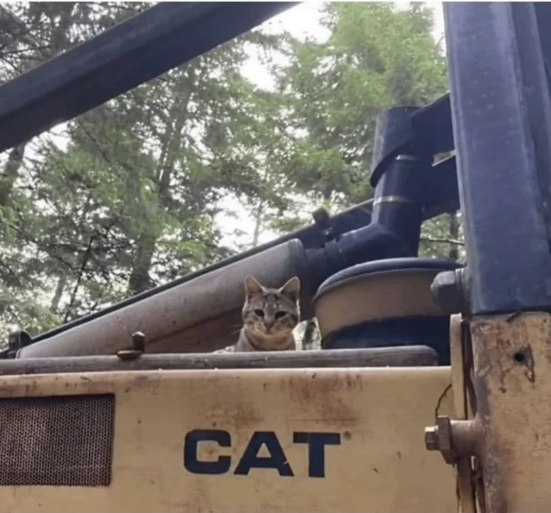 eeac11eb-9325-4790-b661-d3709beca343