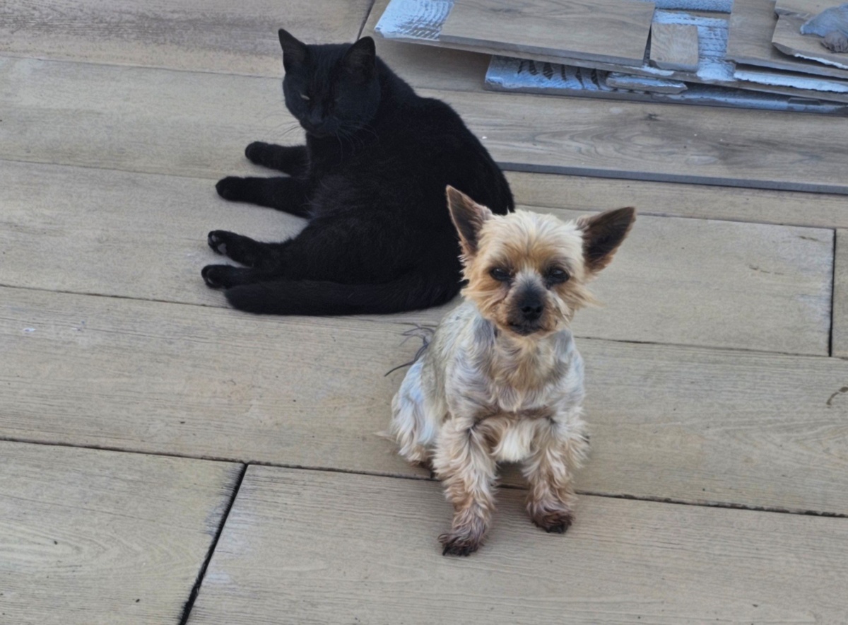 a9204886-aa0d-4383-a715-2f3274bf3c97