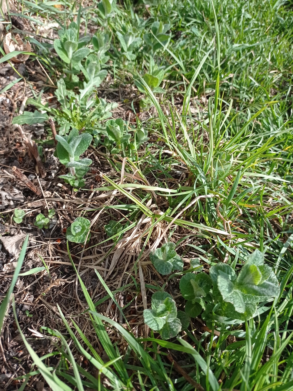 449039f4-7d4d-4c4f-8457-c2f1eba777b3