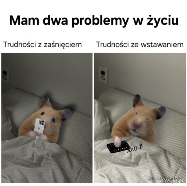 ce420151-058f-4ce0-ae28-cb32c73bbbb4