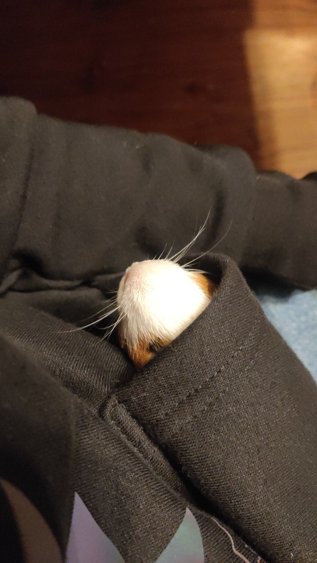 9a9fe047-4fce-41ec-8e43-dde2bd8bf2bb