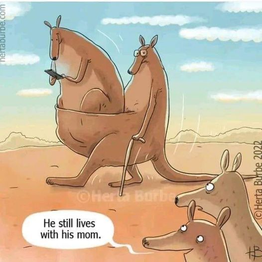 99102dd6-8bfb-43ef-8186-d7daa0c3b698