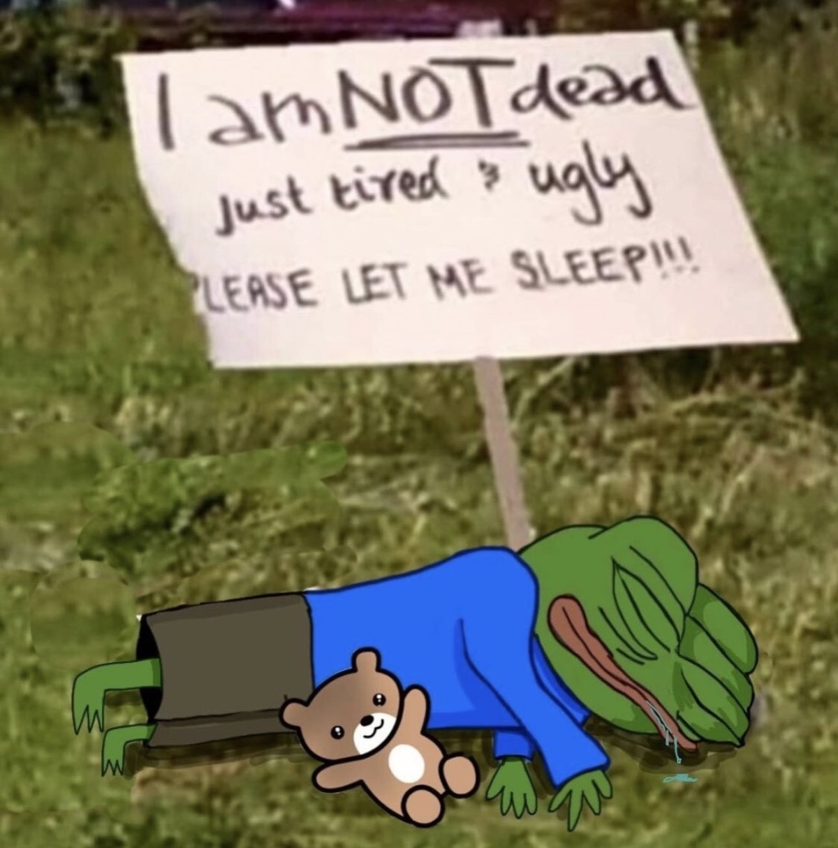 b6b650a5-f1e9-4434-9fdb-166065768a23