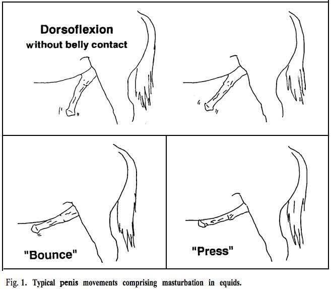 49f611cb-c3af-4512-a240-0594ff674131