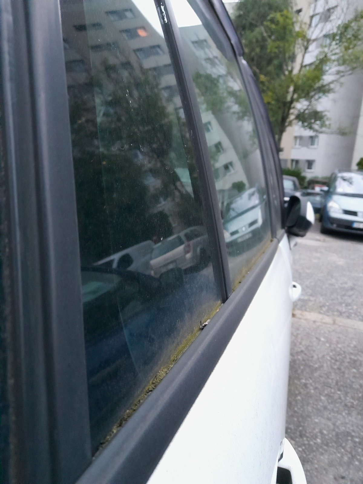 707717db-361f-433e-9c1c-236f9df5df51