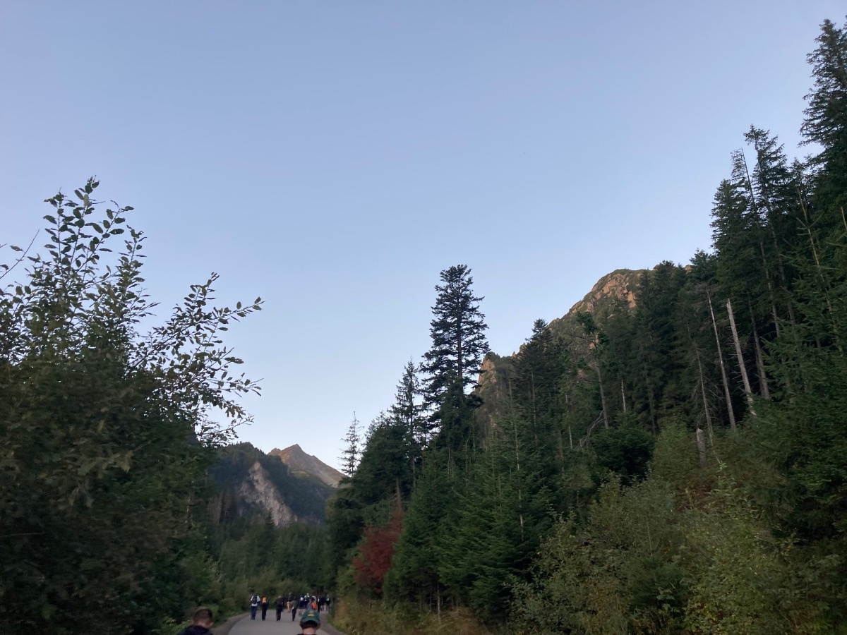 11271c85-2c89-4adf-873b-e30ce817af55