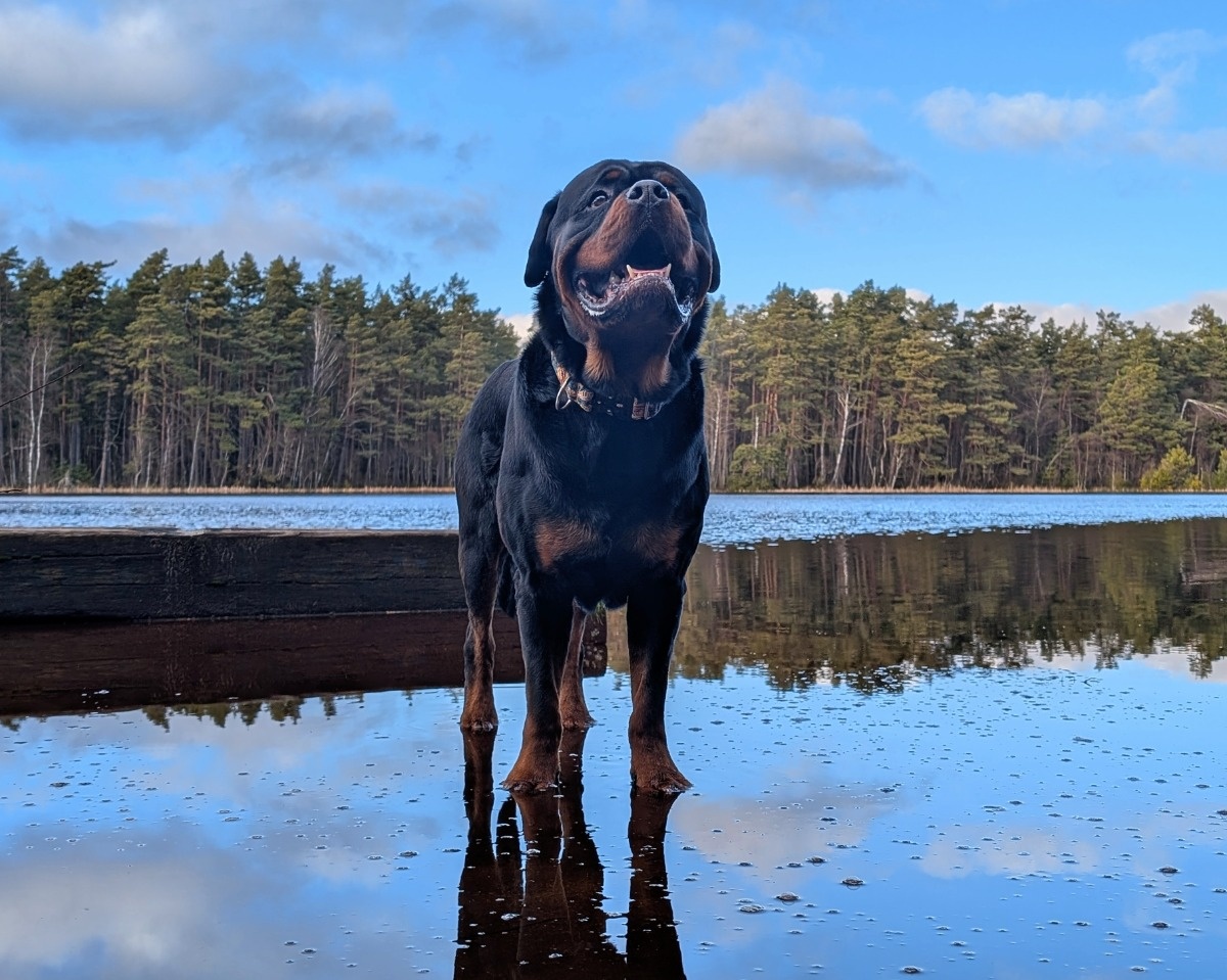 68c282e9-a017-4715-a20a-bbfc495fd0c8