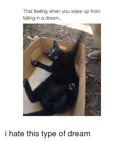 20cc2b9e-4ce6-4681-abe2-1bd4c1c8d7ce