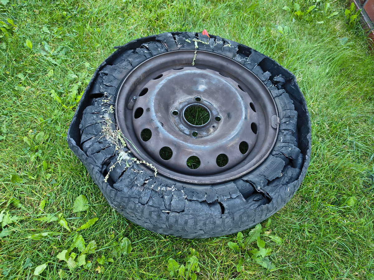 95554a1c-06a0-4378-969c-348280f5e55f