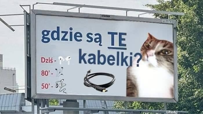 169fca8d-96f3-4c8f-af26-7e81b81ab3c4